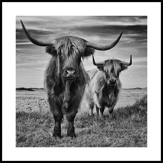 Highlands Poster