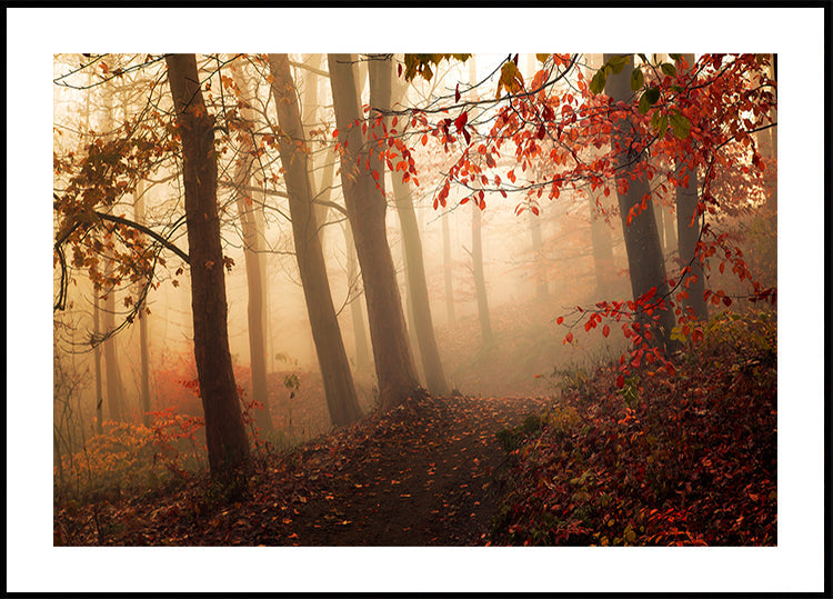 Towards the light. Plakat