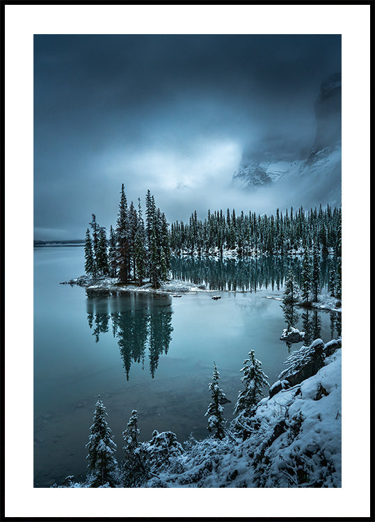 A moody morning Plakat