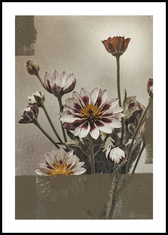 5 Vintage Flowers Plakat