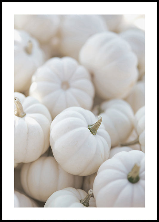 White Pumpkins Aesthetic Plakat