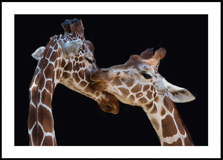 The kiss