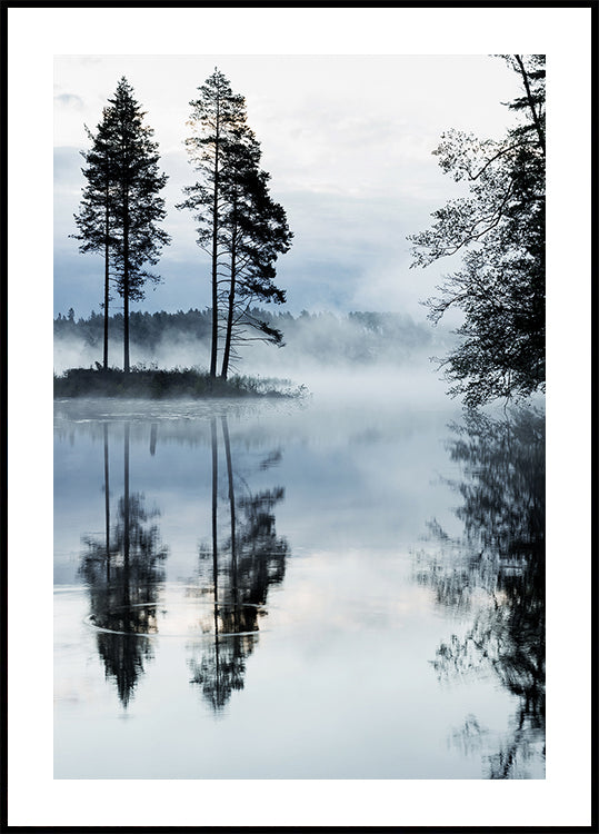 Misty Forest Morning Plakat