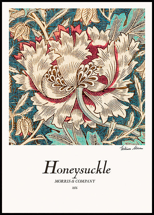 Honeysuckle Plakat