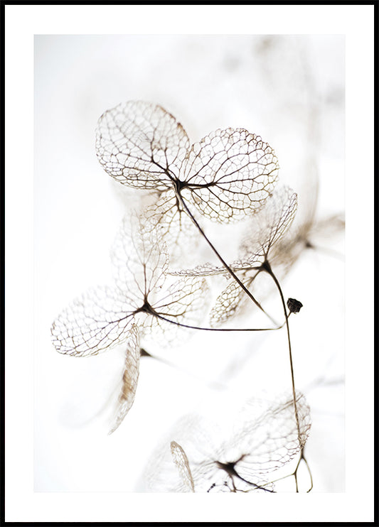 Autumn Dried Leafes №3 Plakat