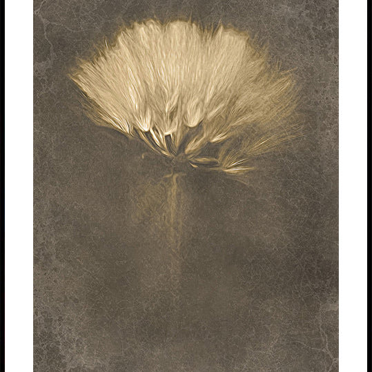 Mysterious Days Plakat