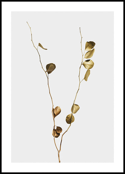 Golden Eucalyptus Branch Plakat