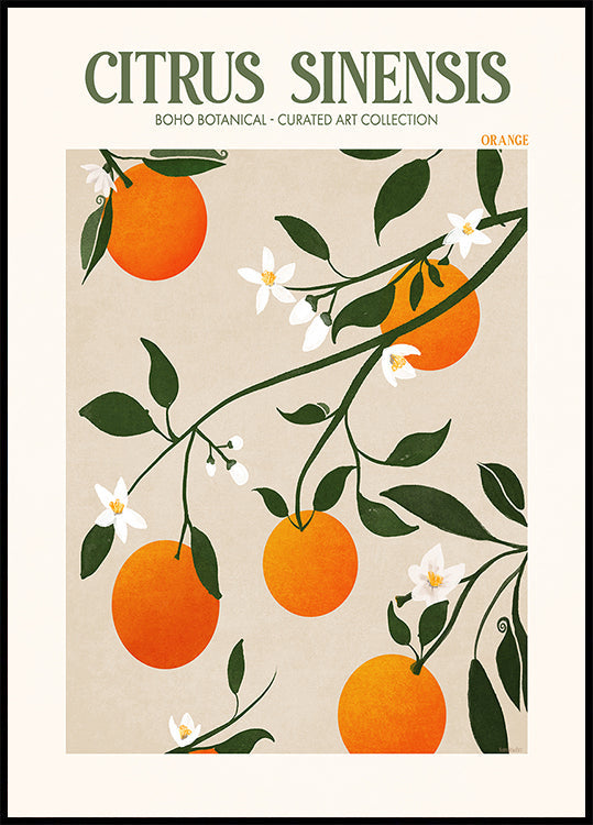 Orange Elegance Plakat