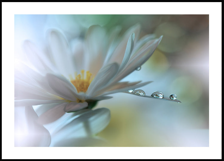 Light touch...