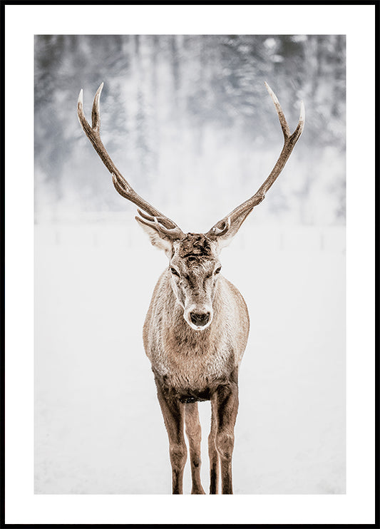 Noble Deer in the Snow Plakat