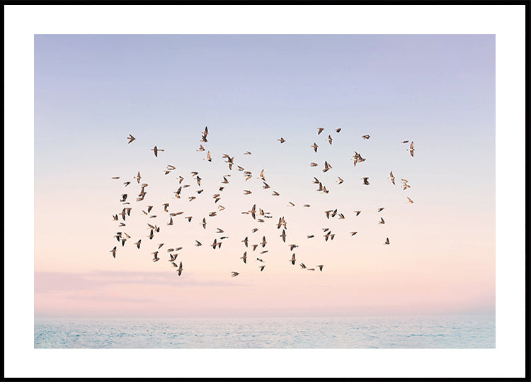 Sunset Flight Plakat