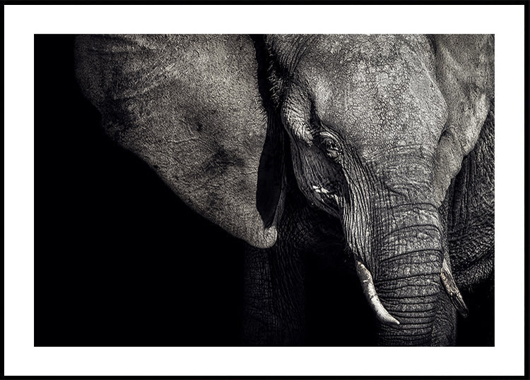 The Matriarch Plakat