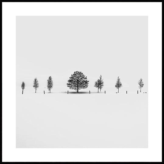 Together Alone Plakat