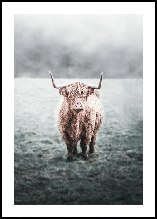 Majestic Highland Cow in Misty Field Plakat
