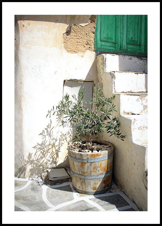 Mediterranean Olive Tree Entrance Plakat
