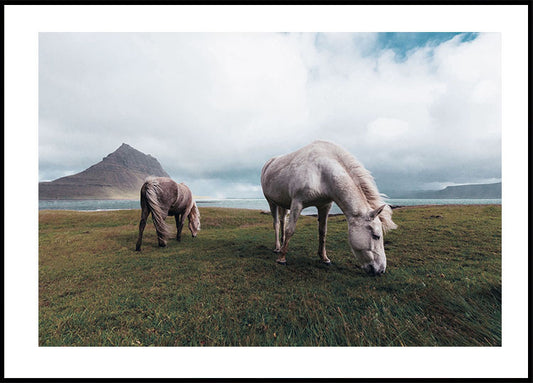 Horses by A Lake Plakat