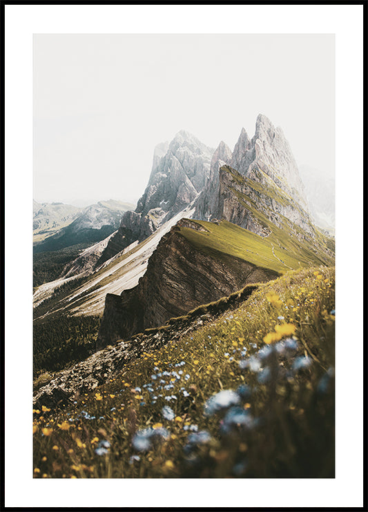 Alpine Blossoms and Peaks Plakat