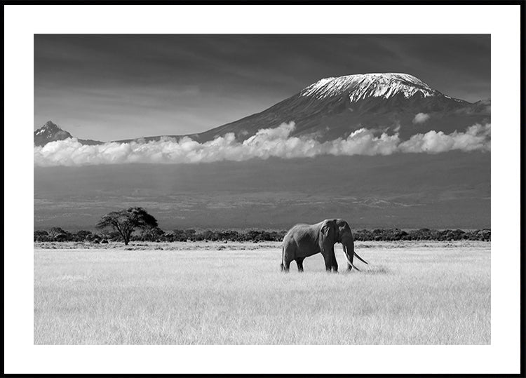 Lost Colors II Plakat