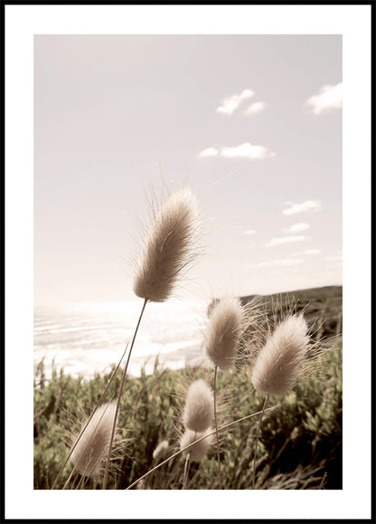 Soft Grass on Mountain Plakat