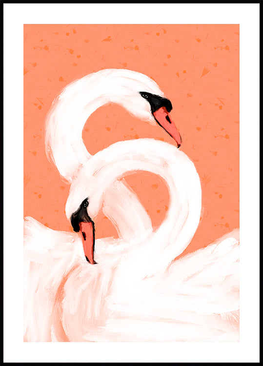 Graceful Swans Plakat