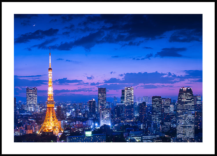 Tokyo night view Plakat