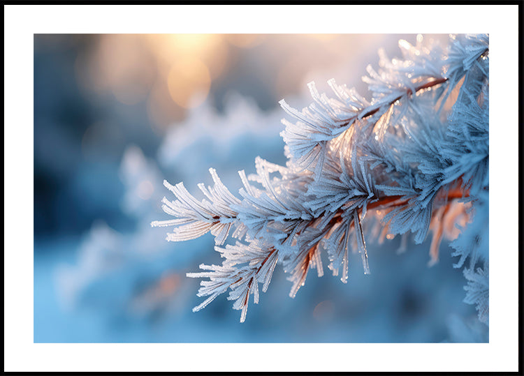 Frosted Serenity Plakat