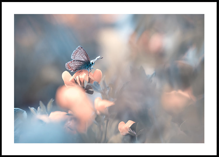 Parmi les dakinis Plakat