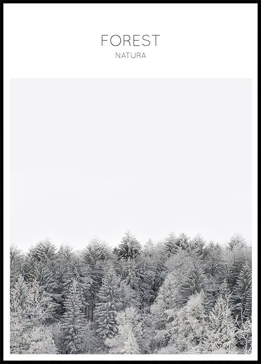 Frosted Tranquility Plakat