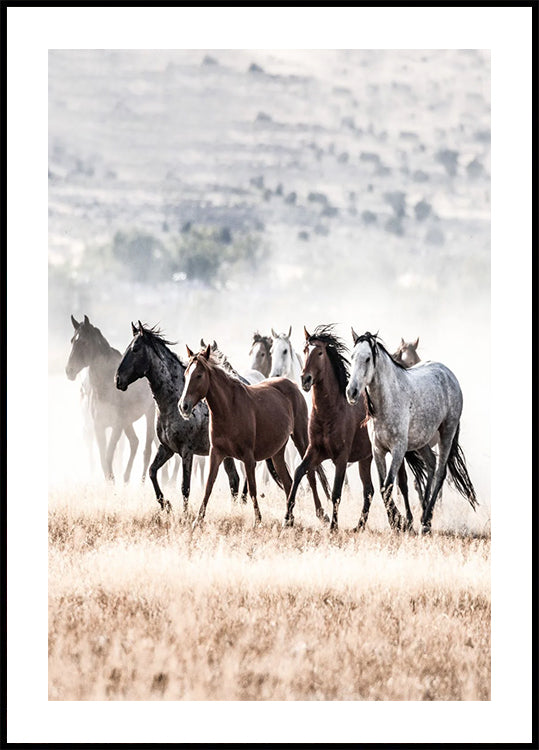 Wild Horses Running Free Nature Plakat