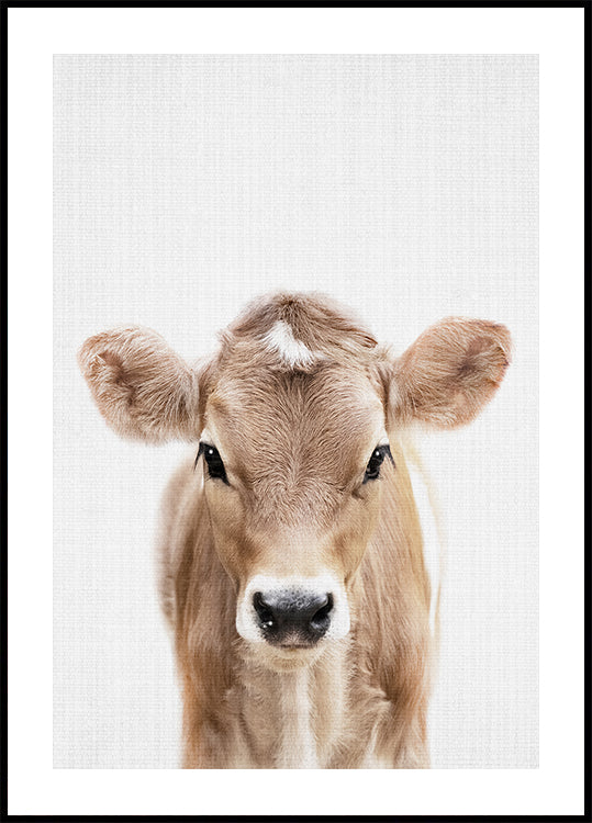 Peekaboo Baby Cow