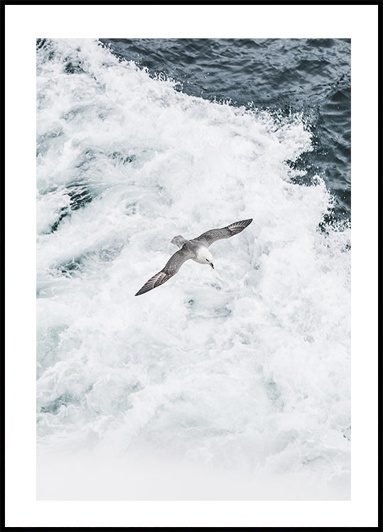 Grey Seagull Flying Over Waves Plakat