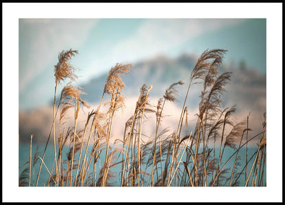 Reeds By The Lake Plakat