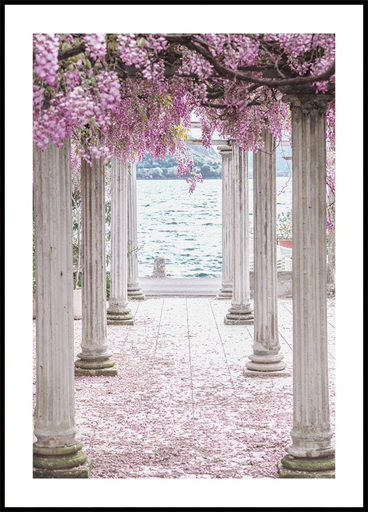 Pillars and Wisteria Flowers Plakat