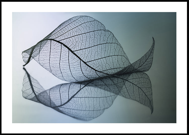 Curvaceousness Plakat