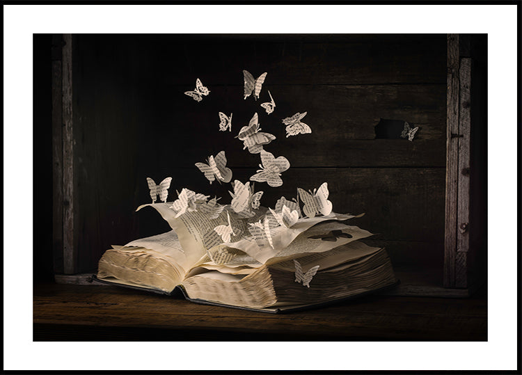 Lepidopterology