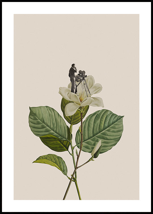 Botanical vintage cameraman Plakat