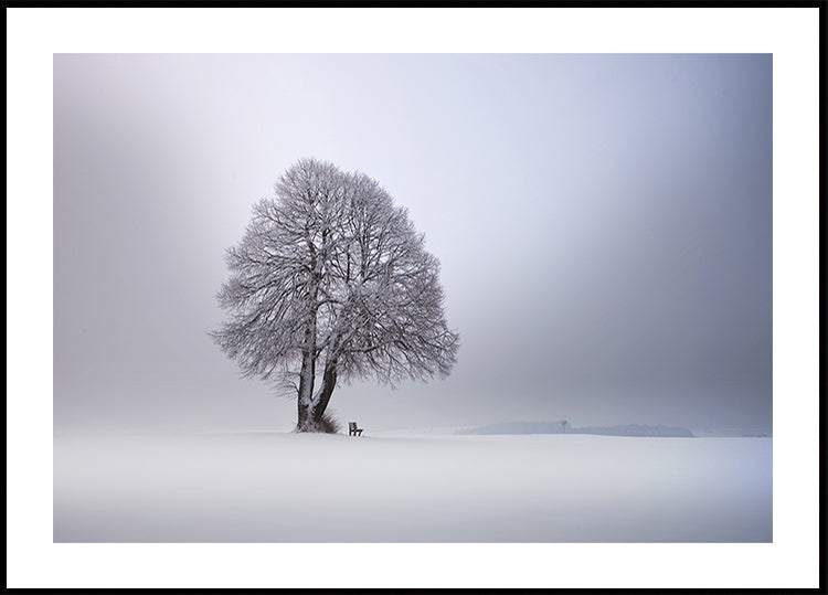 Winter light Plakat