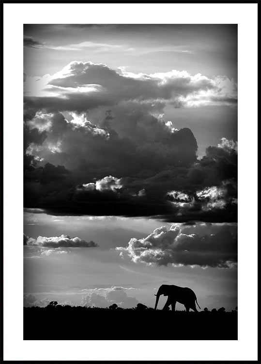 He walks under an African Sky Plakat