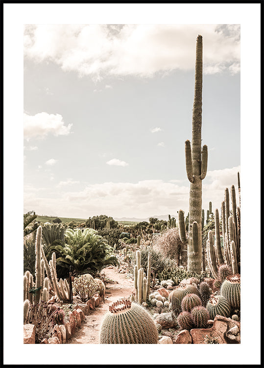 Cactus Farm Plakat