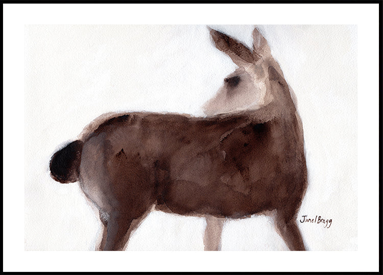 Deer On Creekside Lane Plakat