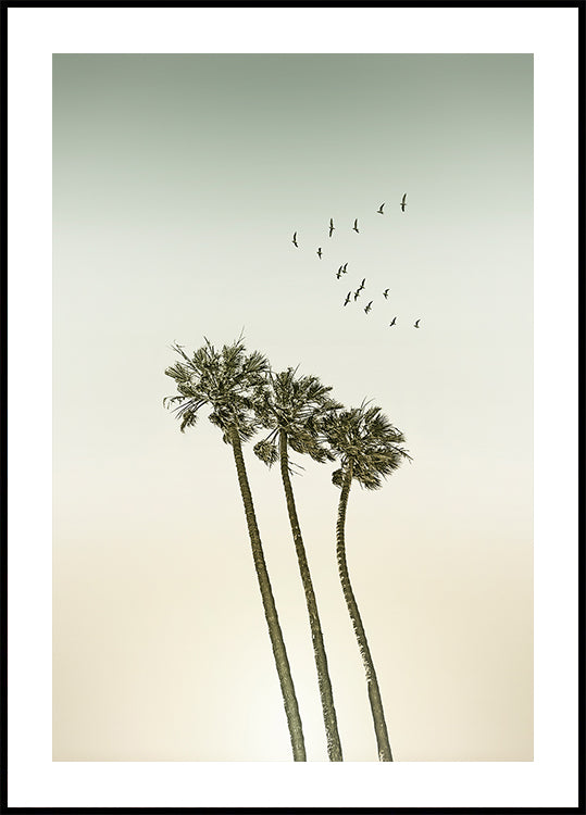 Vintage minimalist palm trees &amp; sunset Plakat