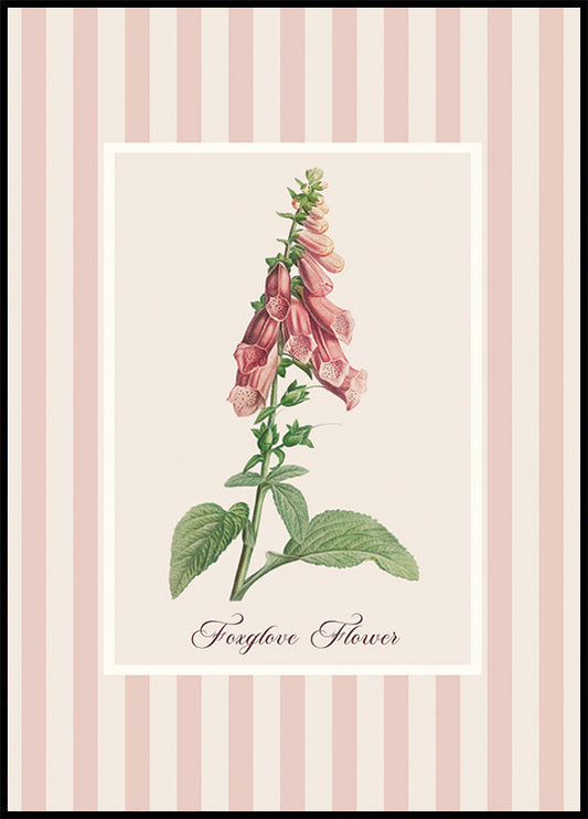 Pink Foxglove Flower Plakat