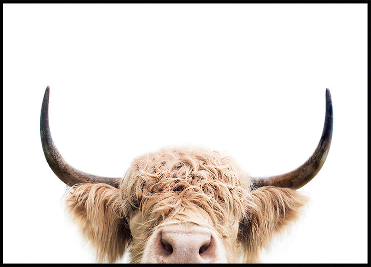 Peeking Cow Poster