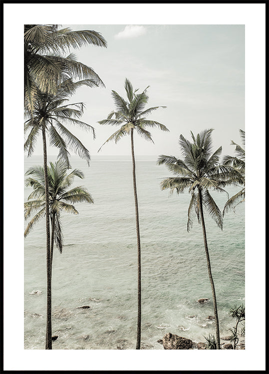 Tropical Dreams Plakat