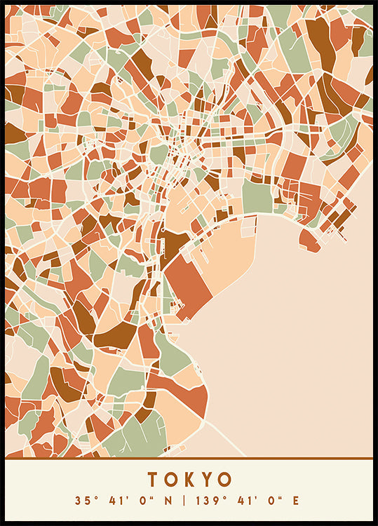 Black Maps Earth Tones 88 Plakat