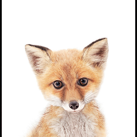 Baby Fox Plakat