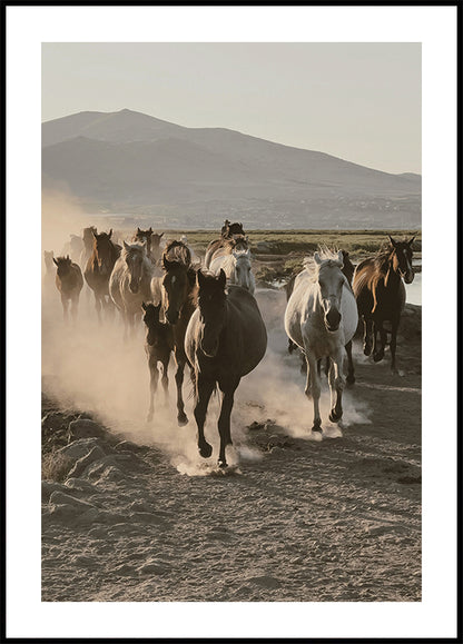 Flock of Wild Horses Plakat