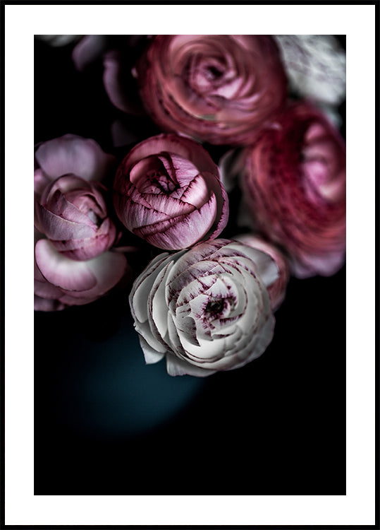 Dark Flowers 2 Plakat