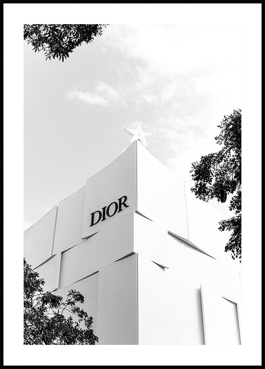 Dior Miami Boutique Black & White Plakat