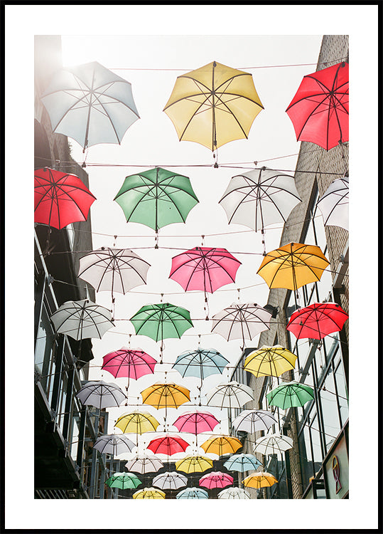 Umbrellas Plakat